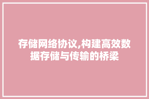 存储网络协议,构建高效数据存储与传输的桥梁