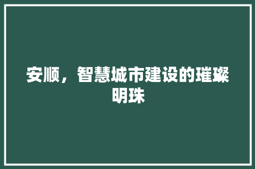 安顺，智慧城市建设的璀璨明珠