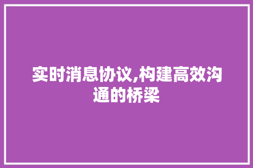 实时消息协议,构建高效沟通的桥梁