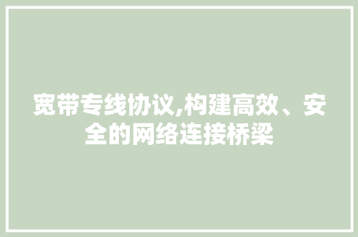 宽带专线协议,构建高效、安全的网络连接桥梁