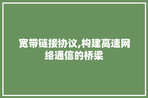 宽带链接协议,构建高速网络通信的桥梁