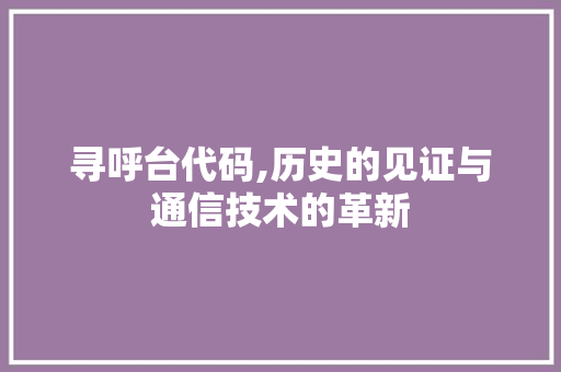 寻呼台代码,历史的见证与通信技术的革新