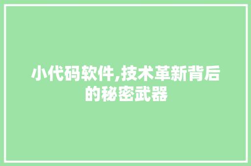 小代码软件,技术革新背后的秘密武器