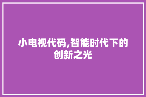 小电视代码,智能时代下的创新之光