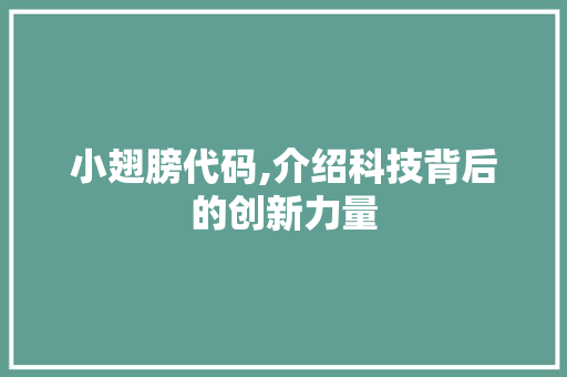 小翅膀代码,介绍科技背后的创新力量