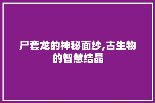 尸套龙的神秘面纱,古生物的智慧结晶