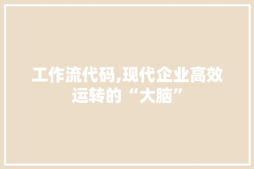 工作流代码,现代企业高效运转的“大脑”