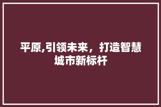 平原,引领未来，打造智慧城市新标杆