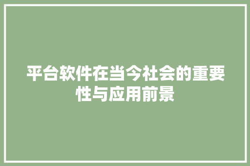 平台软件在当今社会的重要性与应用前景