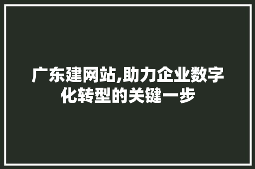 广东建网站,助力企业数字化转型的关键一步