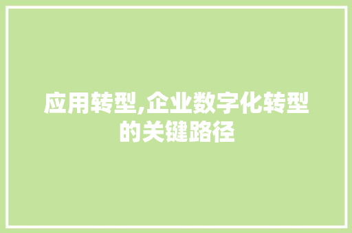 应用转型,企业数字化转型的关键路径