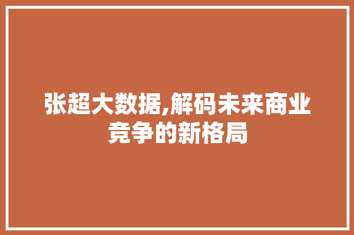 张超大数据,解码未来商业竞争的新格局