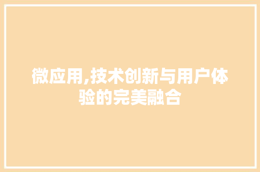 微应用,技术创新与用户体验的完美融合