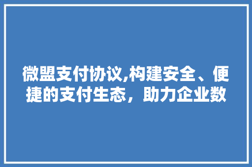 微盟支付协议,构建安全、便捷的支付生态，助力企业数字化转型