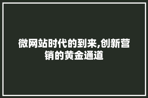 微网站时代的到来,创新营销的黄金通道