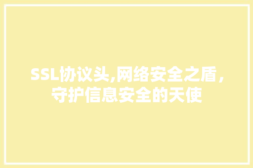 SSL协议头,网络安全之盾，守护信息安全的天使