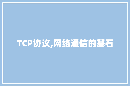 TCP协议,网络通信的基石