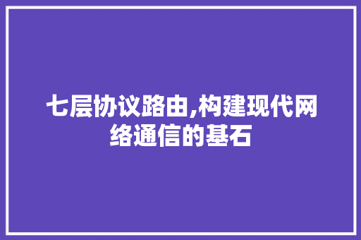 七层协议路由,构建现代网络通信的基石