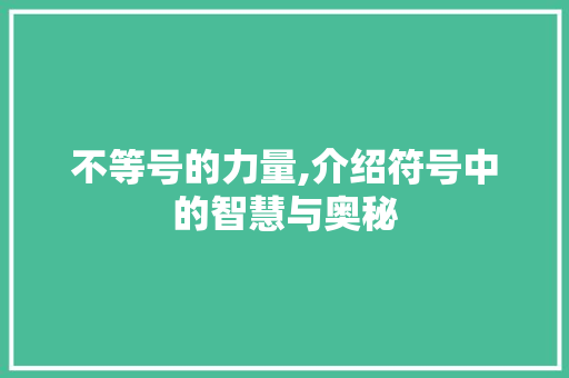 不等号的力量,介绍符号中的智慧与奥秘