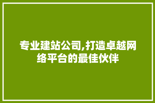 专业建站公司,打造卓越网络平台的最佳伙伴