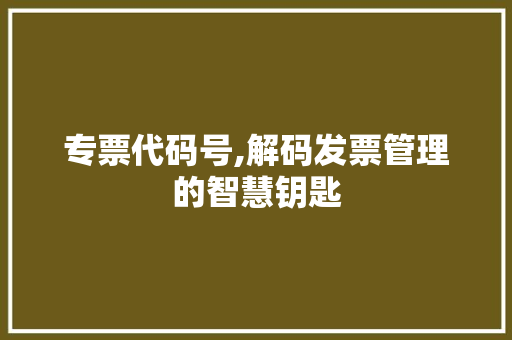 专票代码号,解码发票管理的智慧钥匙