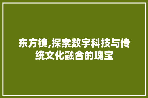 东方镜,探索数字科技与传统文化融合的瑰宝