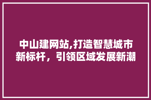 中山建网站,打造智慧城市新标杆，引领区域发展新潮流