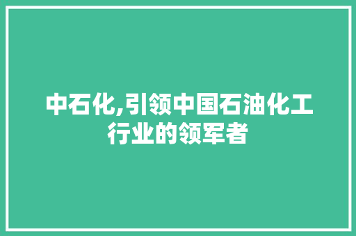 中石化,引领中国石油化工行业的领军者