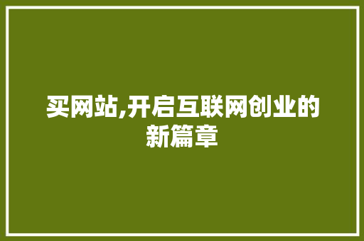 买网站,开启互联网创业的新篇章