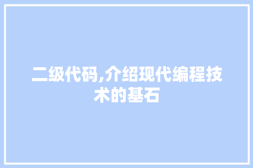 二级代码,介绍现代编程技术的基石