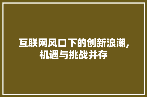 互联网风口下的创新浪潮,机遇与挑战并存