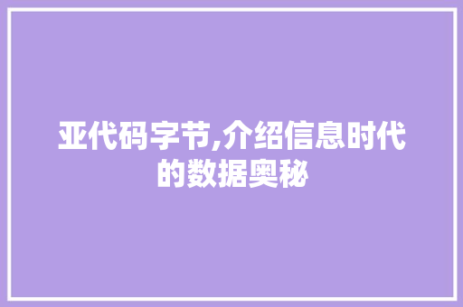 亚代码字节,介绍信息时代的数据奥秘