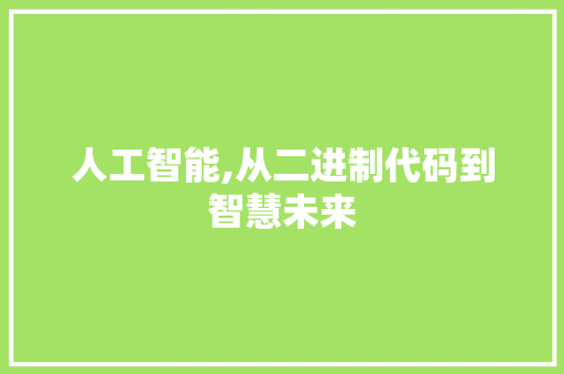 人工智能,从二进制代码到智慧未来