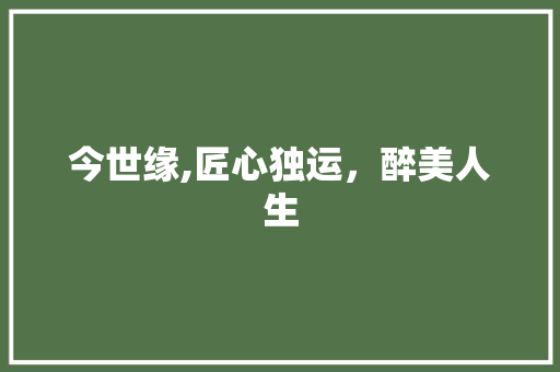 今世缘,匠心独运，醉美人生