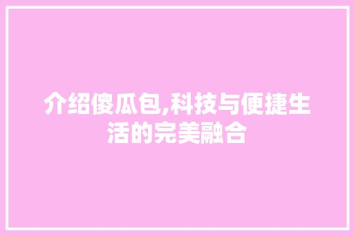 介绍傻瓜包,科技与便捷生活的完美融合