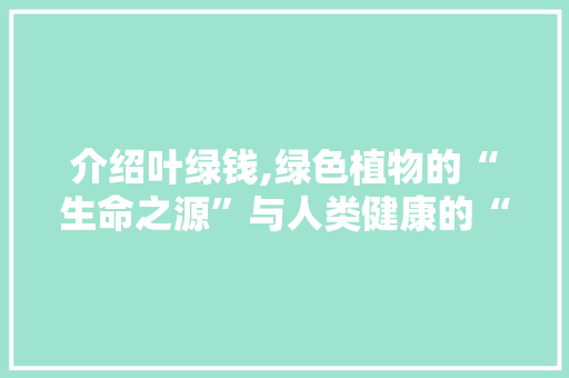 介绍叶绿钱,绿色植物的“生命之源”与人类健康的“守护者”