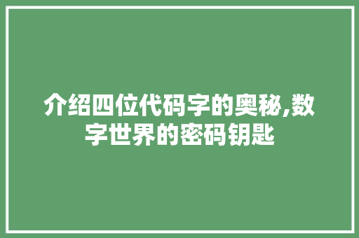 介绍四位代码字的奥秘,数字世界的密码钥匙