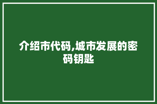 介绍市代码,城市发展的密码钥匙