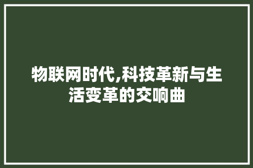 物联网时代,科技革新与生活变革的交响曲