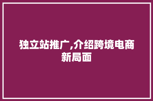 独立站推广,介绍跨境电商新局面