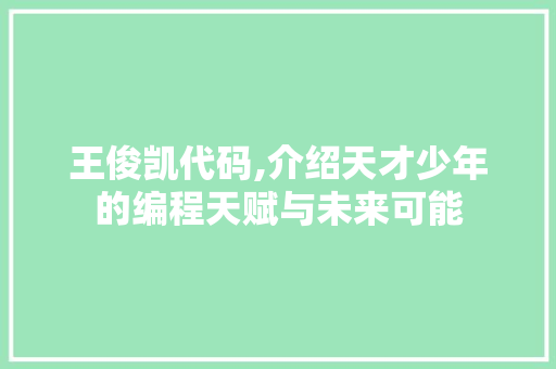 王俊凯代码,介绍天才少年的编程天赋与未来可能