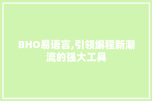 BHO易语言,引领编程新潮流的强大工具