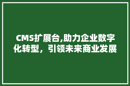 CMS扩展台,助力企业数字化转型，引领未来商业发展新趋势