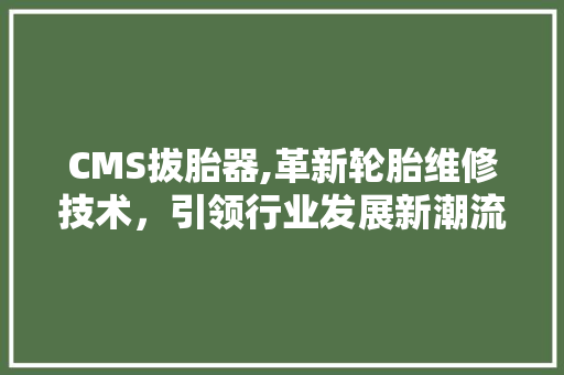 CMS拔胎器,革新轮胎维修技术，引领行业发展新潮流