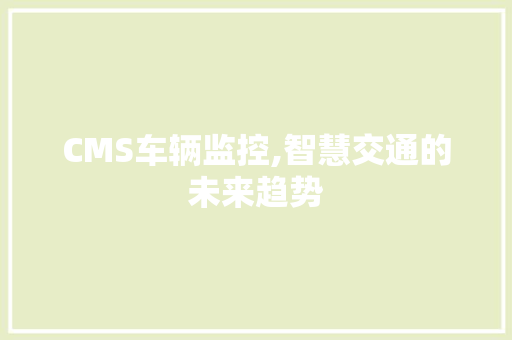 CMS车辆监控,智慧交通的未来趋势