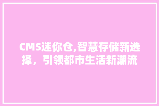 CMS迷你仓,智慧存储新选择，引领都市生活新潮流