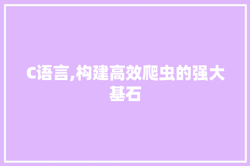 C语言,构建高效爬虫的强大基石