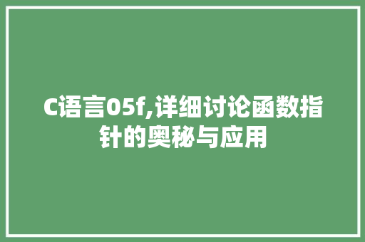 C语言05f,详细讨论函数指针的奥秘与应用