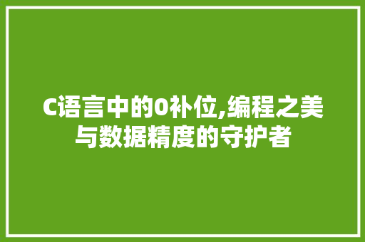 C语言中的0补位,编程之美与数据精度的守护者