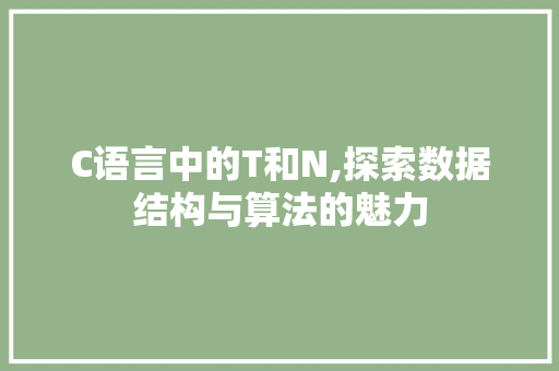 C语言中的T和N,探索数据结构与算法的魅力